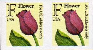 Tulip - "F" Rate