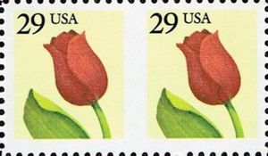 Tulip