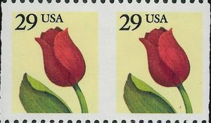 Tulip