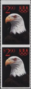 Bald Eagle (Haliaeetus leucocephalus)