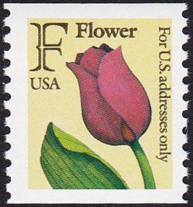 Tulip - "F" Rate