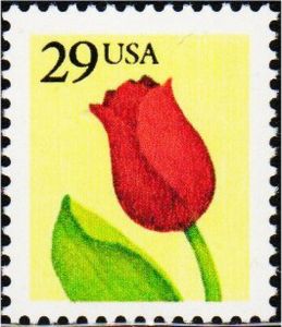 Tulip