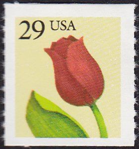 Tulip