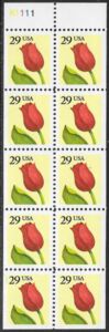 Tulip