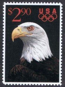 Bald Eagle (Haliaeetus leucocephalus)