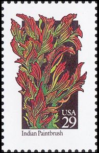 Indian Paintbrush (Castilleja linariifolia)
