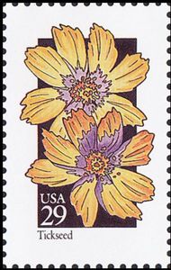 Tickseed (Careopsis sp.)