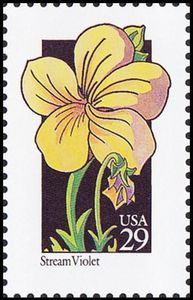 Stream Violet (Viola glabella)