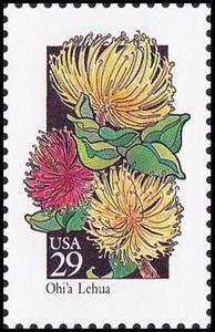 Ohi'a Lehua (Metrosideros polymorpha)