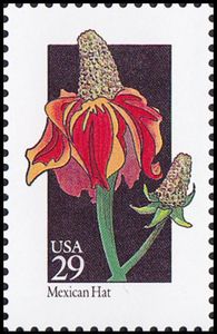 Mexican Hat (Ratibida columnifera)
