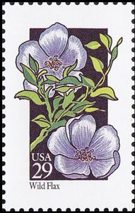 Wild Flax (Linum usitatissimum)