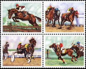 Sporting Horses
