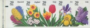 Garden Flowers