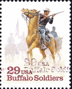 Buffalo Soldiers, Horse (Equus ferus caballus)