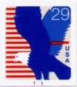 American Bald Eagle