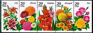 Garden Flowers