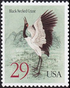 Black-necked Crane (Grus nigricollis)