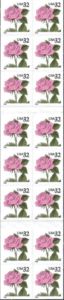 Pink Rose - Pane