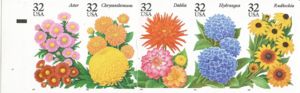 Garden Flowers