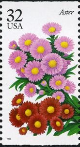Aster