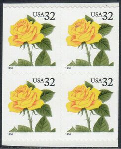 Yellow Rose - Pane