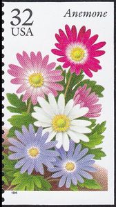 Anemone