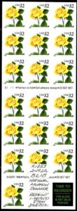 Yellow Rose - Pane