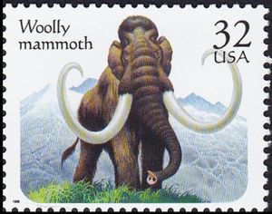 Woolly Mammoth (Mammuthus sp.)