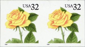 Yellow Rose