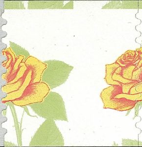 Yellow Rose