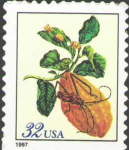 Merian Print: Citron - Small