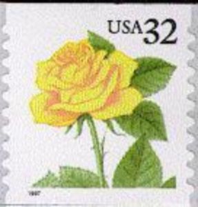 Yellow Rose