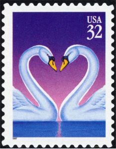 Mute Swan (Cygnus olor)