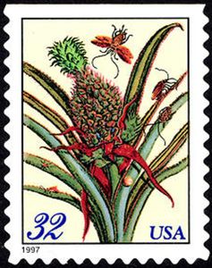 Merian Print: Pineapple - Large