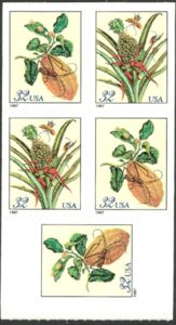 Merian Prints