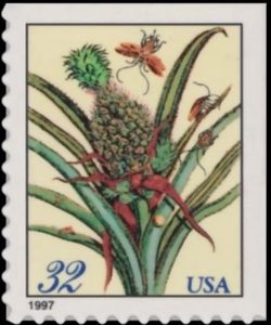 Merian Print: Pineapple - Small