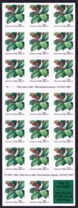 American Holly