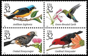 Tropical Birds
