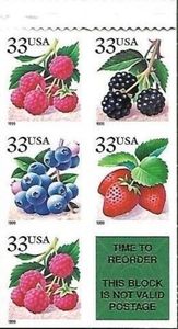 Fruit Berries