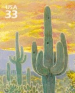 Saguaro Cactus (Carnegiea gigantea)