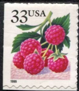 Fruit Berries: Raspberries