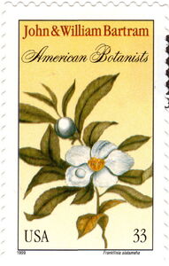 John and William Bartram, Botanists