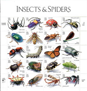 Insects/Spiders