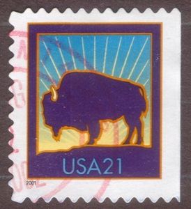 American Bison (Bos bison)