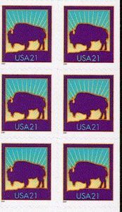 American Bison (Bos bison)