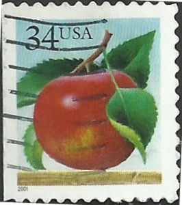 Apple - Die Cut 11½ x 10¾ on 2 or 3 sides