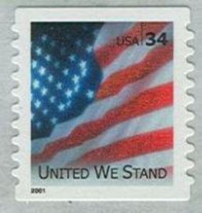 United We Stand, US Flag