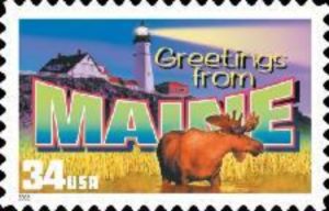 Greetings from Maine, Moose (Alces alces)