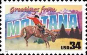 Greetings from Montana, Horse (Equus ferus caballus)
