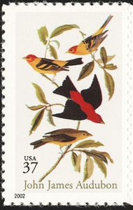 Scarlet Tanager (Piranga olivacea), Western Tanager (Piranga